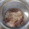 A melhor receita de Aeropress do mundo