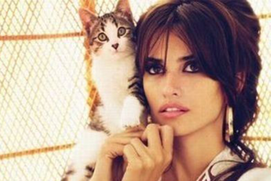 Make Penélope Cruz