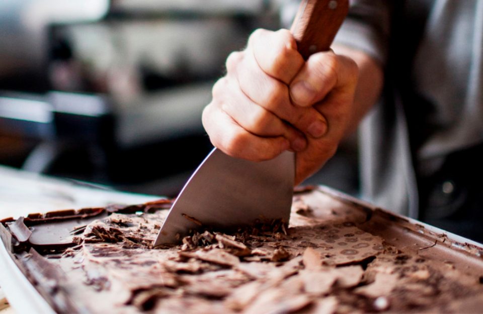 Variedades do Cacau: onde começa o sabor do chocolate