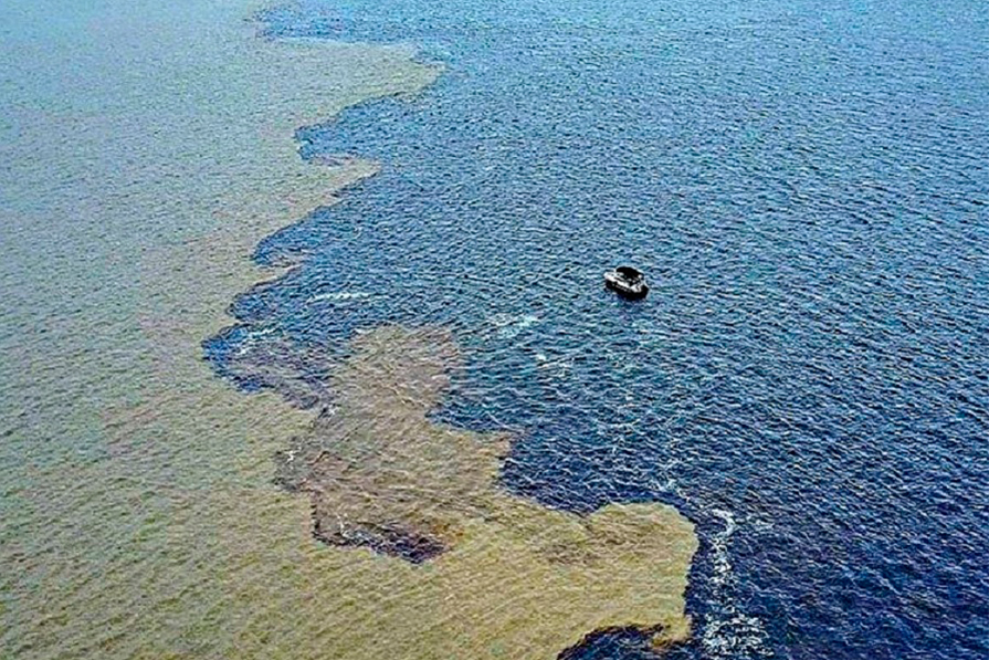 MERGULHO NO ENCONTRO DAS ÁGUAS | RIO NEGRO