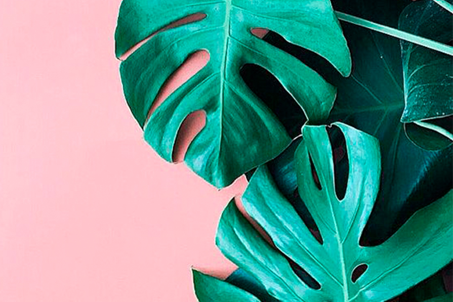 Tropical Vibes: saiba como usar a estampa de folhagem na decoração