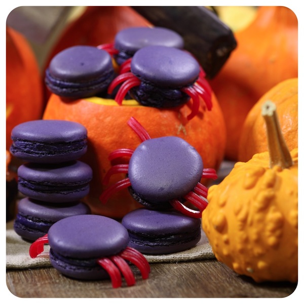 macaron-aranha2