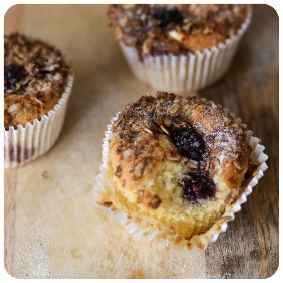 muffin-amora-sem-gluten-lactose-ickfd-marimuniz