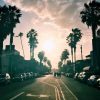 Abbot Kinney: a rua que você precisa conhecer em Venice