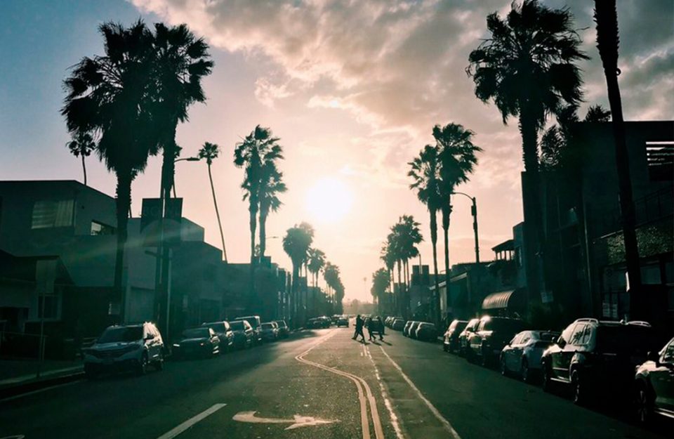 Abbot Kinney: a rua que você precisa conhecer em Venice