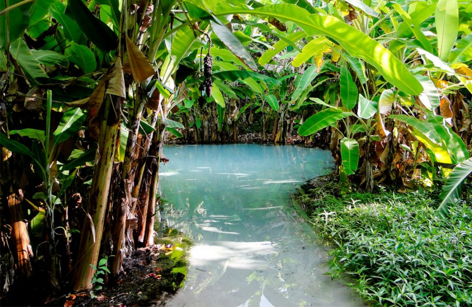 Para Quem Ama Natureza: Parque Estadual do Jalapão