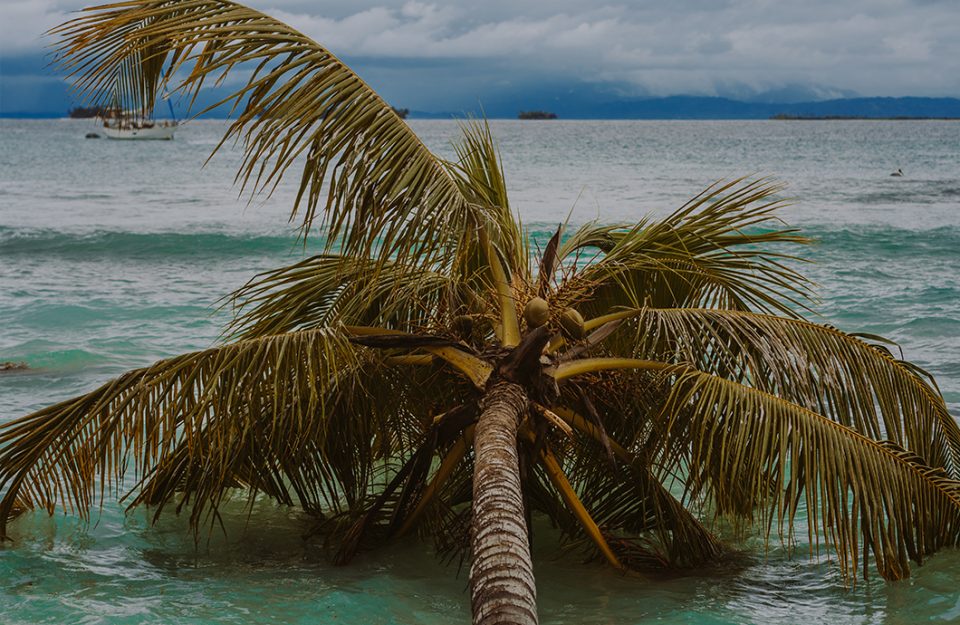 Chicheme: a ilha mais agitada de San Blas | Kuna Yala