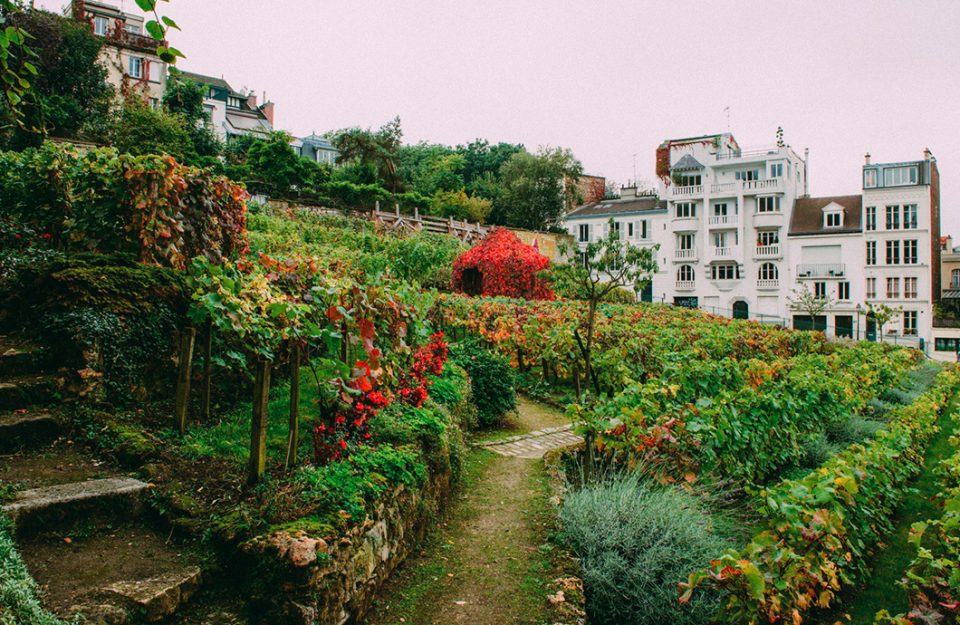 7 Lugares de Montmartre que você precisa conhecer