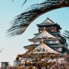 O Que Você Precisa Saber Antes de Ir ao Japão