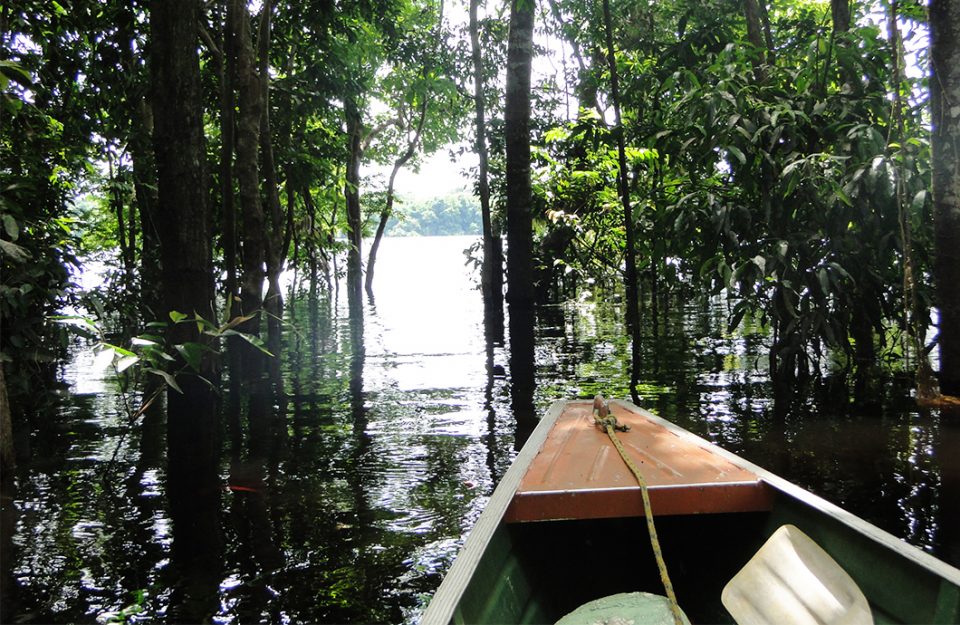 Amazonas Além de Manaus!