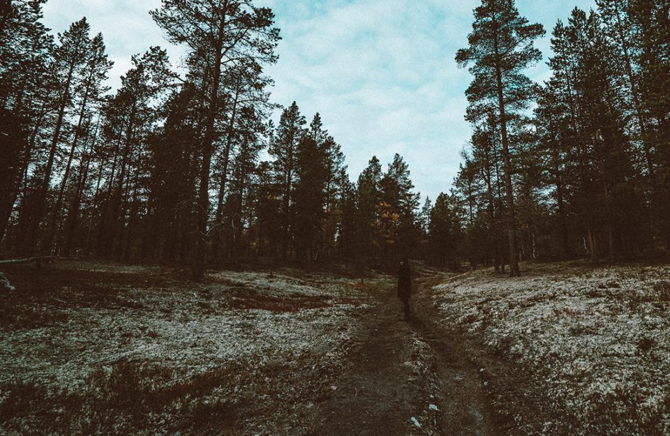 Floresta Encantada na Noruega | Røros