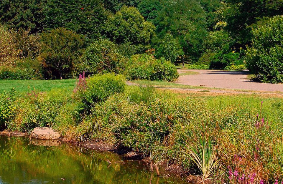 Os 8 Melhores Parques e Jardins de Boston