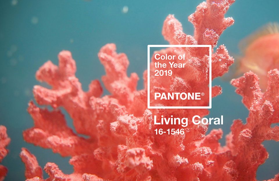 Living Coral: A Cor De 2019!