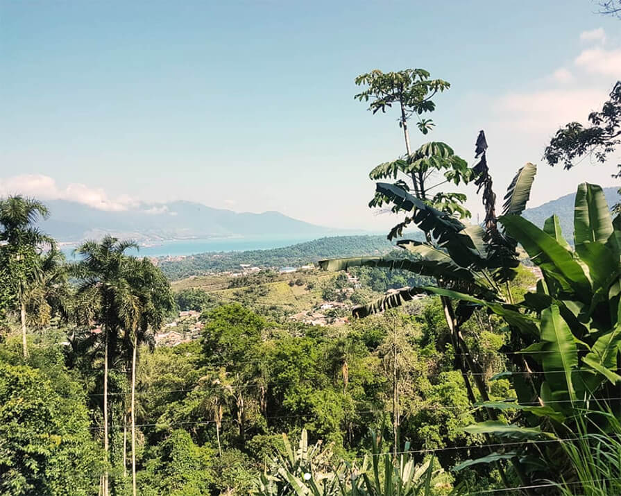 trilha em ilhabela