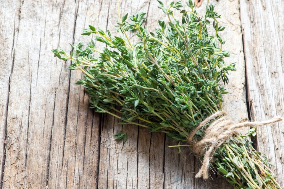 fresh-thyme-herb-bunch-070518