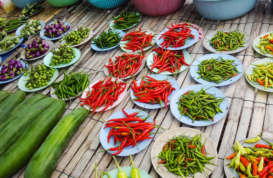 Tipos de pimenta: escala de ardência e como utilizar cada uma