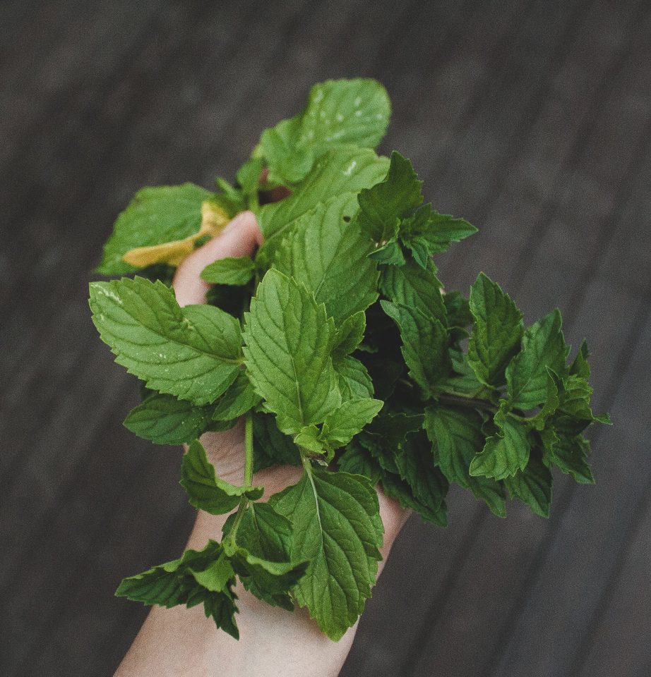 s-laiba-ali–_1ZJA_gzN0-unsplash