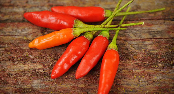 tabasco