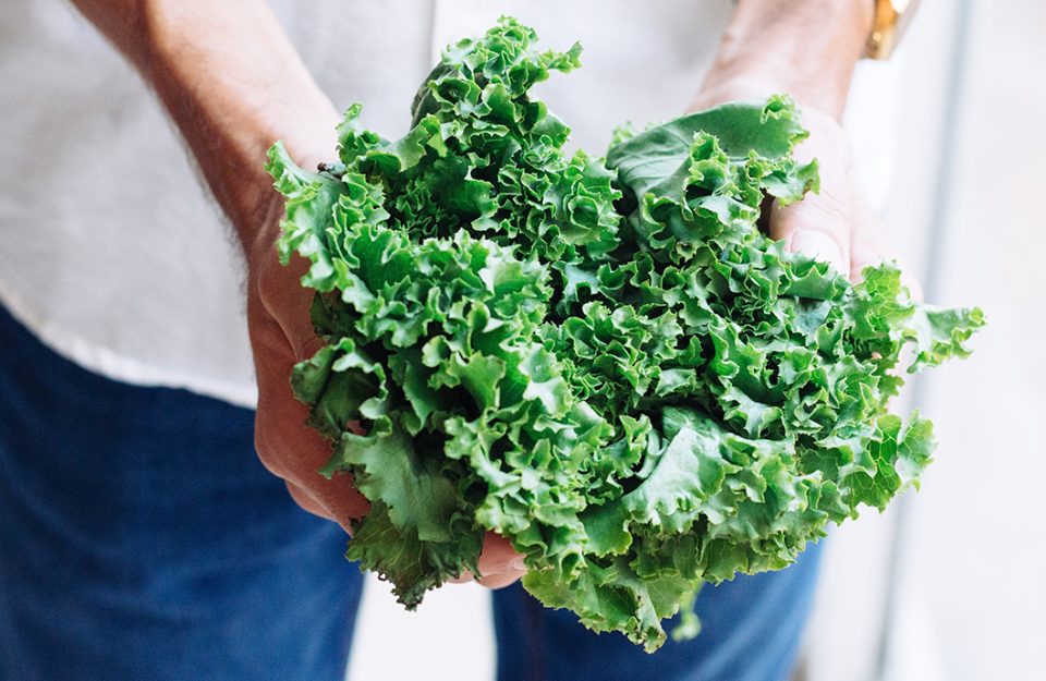 5 Verduras que duram mais na geladeira e seus benefícios