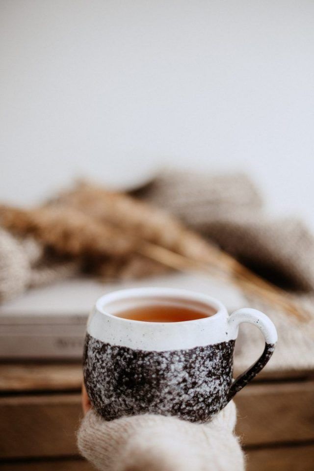 7 chás que dão energia para substituir o café