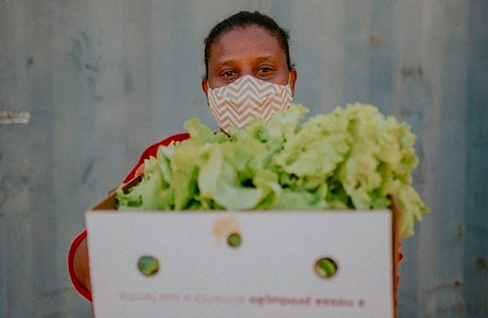 Orgânico solidário: ajude famílias vulneráveis e agricultores orgânicos