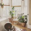 Faz mal ter plantas no quarto? Tudo que você precisa saber!