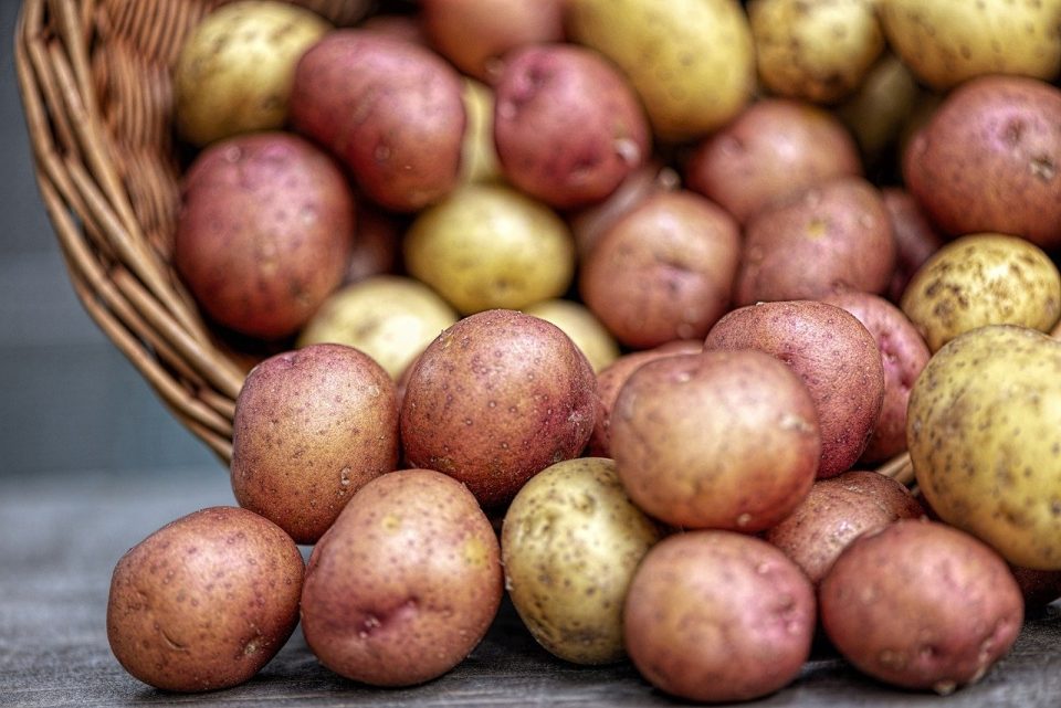 Tipos de batata: quais são e como utilizar cada uma delas nas receitas