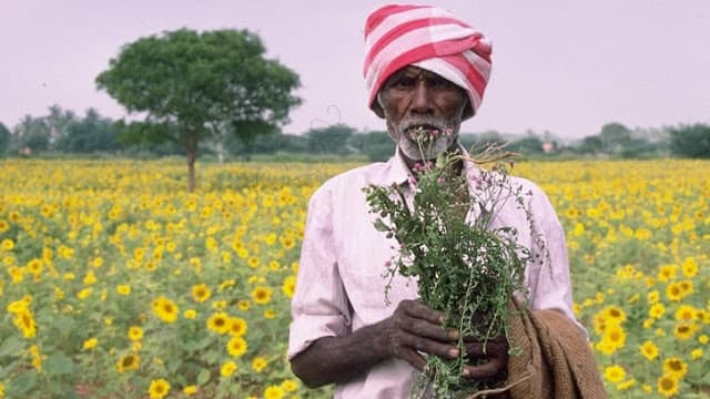 documentários sobre ayurveda