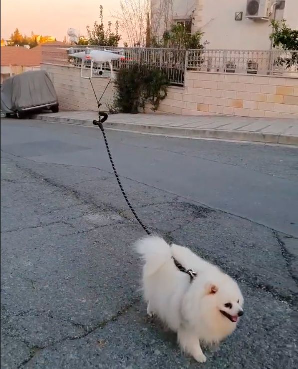 drone-dog