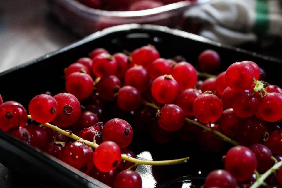 Frutas vermelhas: benefícios, quais são e receitas