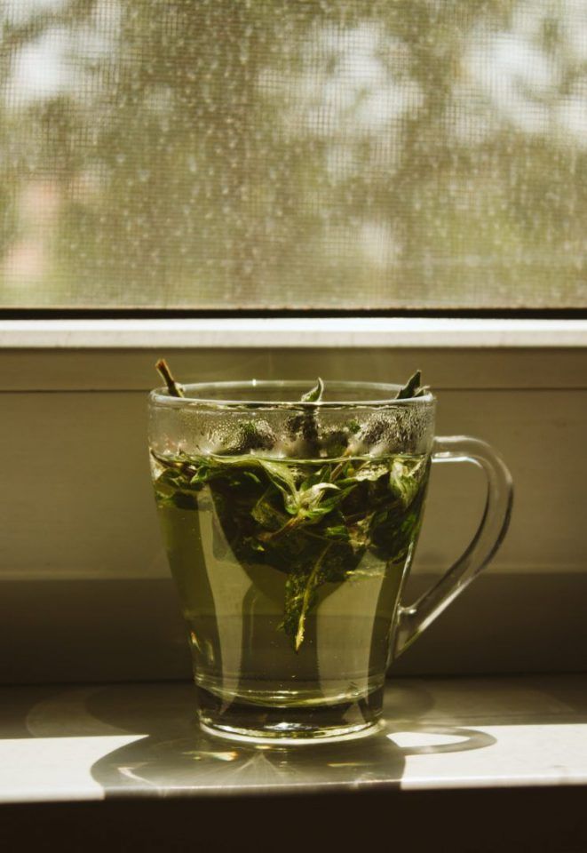 Matcha e chá verde: qual o melhor?