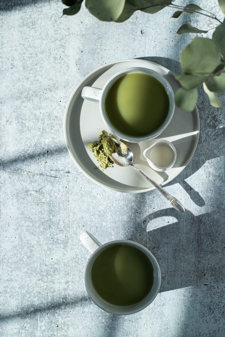Matcha e chá verde: qual o melhor?