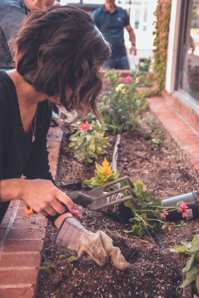 Materiais de jardinagem que você precisa ter antes de comprar plantas