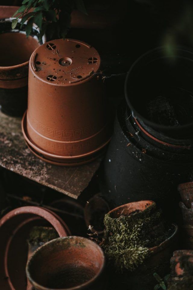 Materiais de jardinagem que você precisa ter antes de comprar plantas