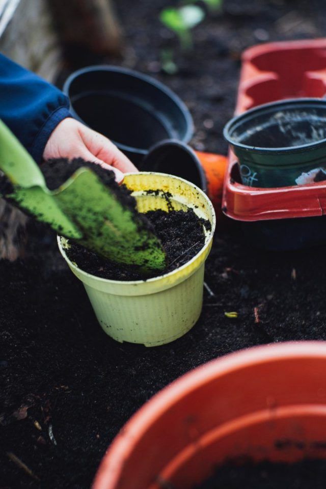Materiais de jardinagem que você precisa ter antes de comprar plantas