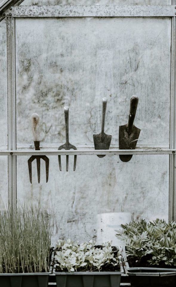 Materiais de jardinagem que você precisa ter antes de comprar plantas