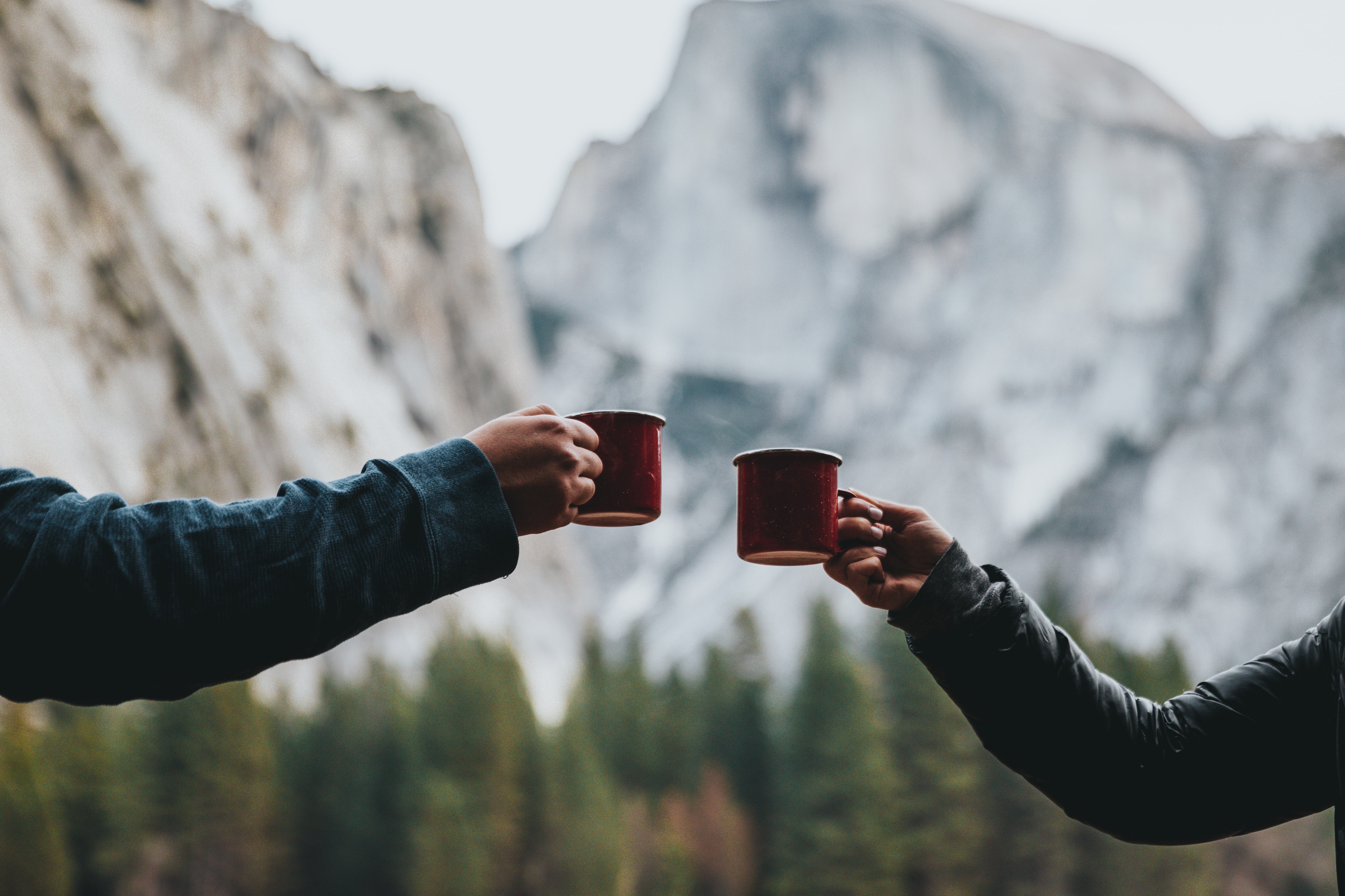 Conheça as profissões do ramo dos chás: de sommelier a tea master