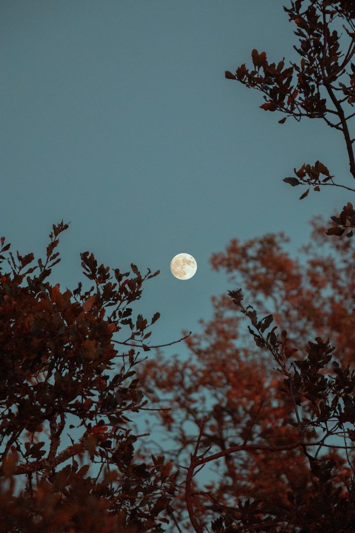 Sol e lua: os olhos do céu na Astrologia