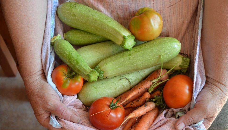 Alimentos da primavera: as frutas, legumes e verduras mais frescas agora